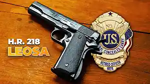 Large semi–automatic pistol with Concealed Carry Badge.